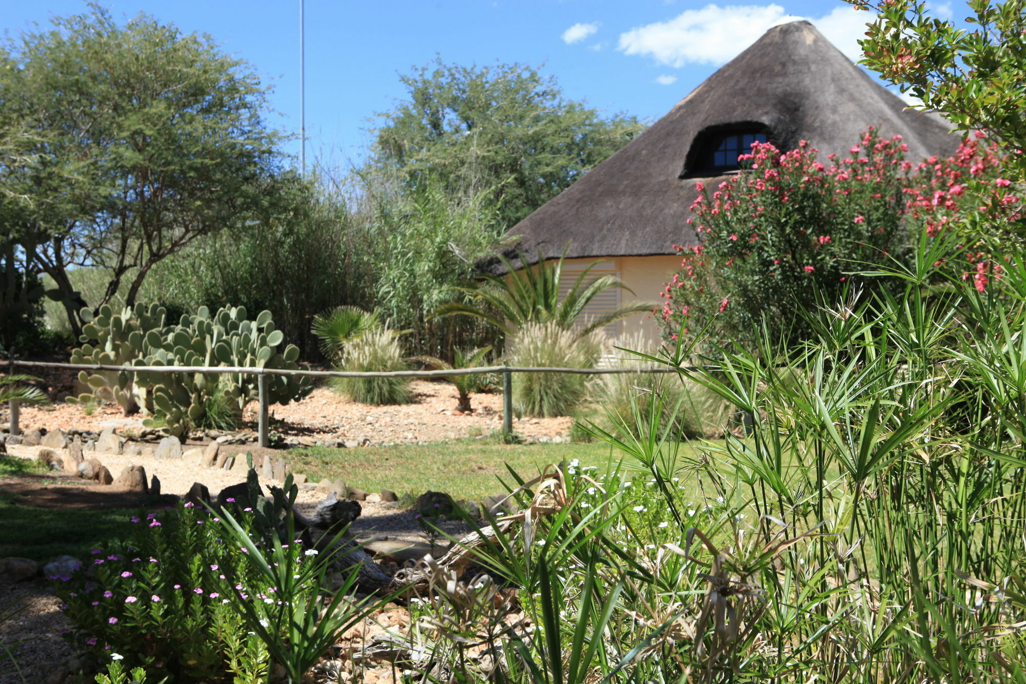 Immanuel Wilderness Lodge Windhoek Exterior foto